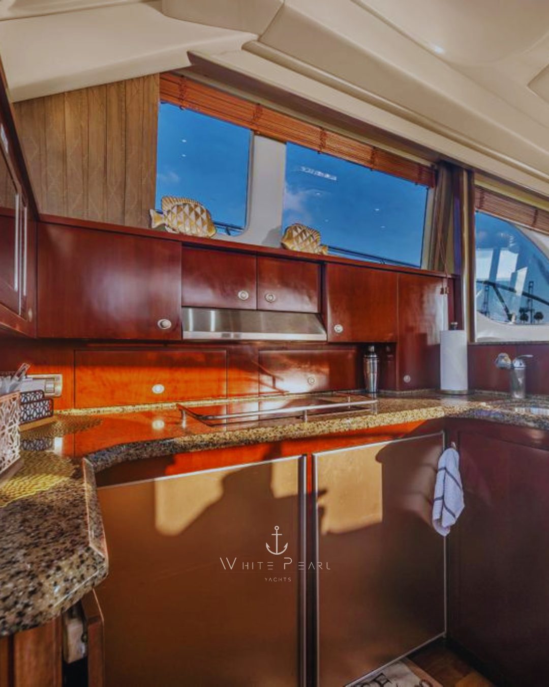 Sea Ray 62 4